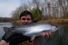 manistee salmon